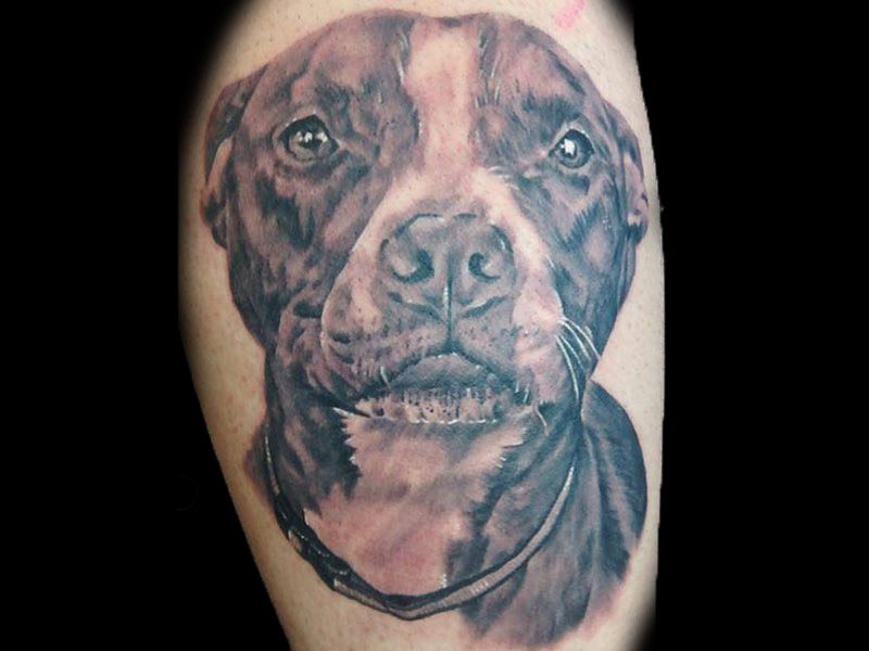 Tattoo of a dog's face on a person's skin, featuring detailed shading and a collar. For those in Tattoos St. Louis, this masterpiece truly captures the love for man's best friend.