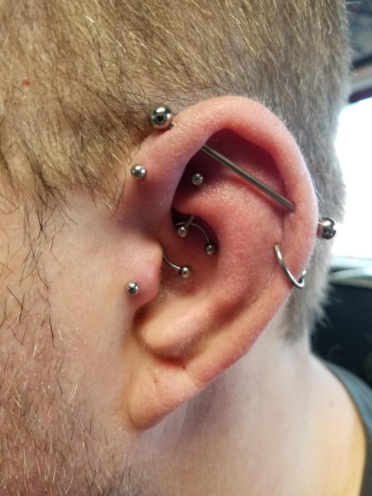 A close-up of a person's ear with multiple piercings, including a barbell industrial piercing, several studs, and a hoop earring.