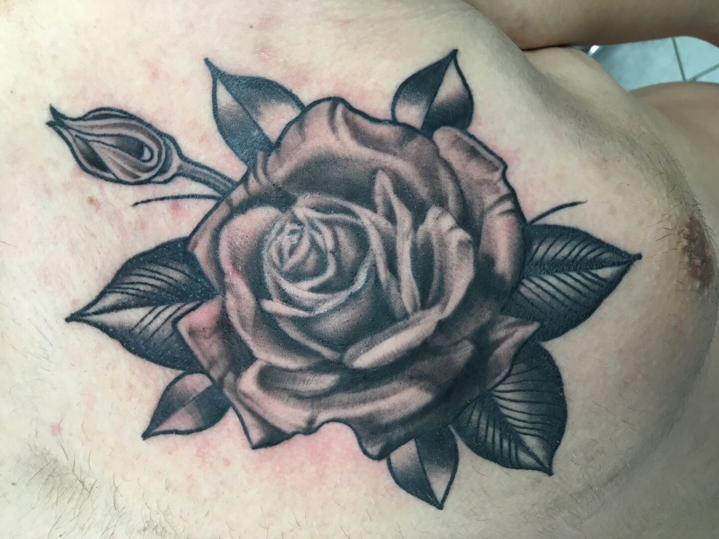 traditional tattoo studio